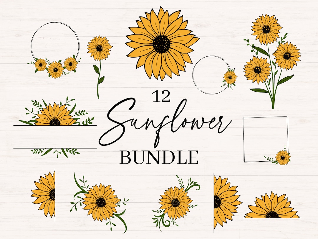 Sunflower Bundle Svg, Jpg, Png, Sunflowers Svg, Sunflower Frame Border ...