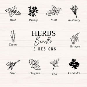 Paquete de hierbas svg, especias svg, png, dxf, las imágenes prediseñadas de hierbas y especias incluyen albahaca, orégano, eneldo, romero, salvia, cebollino, cilantro y perejil