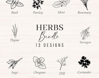 Herbs svg bundle, Spices svg, png, dxf, Herbs and Spices clipart includes basil, oregano, dill, rosemary, sage, chives, coriander, parsley
