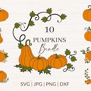 Op de afbeelding: Een set van 10 digitale pompoenillustraties in verschillende stijlen, waaronder een pompoen met bladeren, een pompoen met ranken en een pompoen met bloemen. De illustraties zijn perfect voor herfstambachten, scrapbooking en andere creatieve projecten. SVG-, JPG-, PNG- en DXF-bestandsformaten zijn inbegrepen.