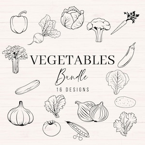 May include: A black and white line drawing illustration set of 16 different vegetables, including a bell pepper, radish, cabbage, broccoli, carrot, aubergine, celery, cucumber, garlic, onion, tomato, peas, and lettuce. The text "VEGETABLES Bundle 16 DESIGNS" is included in the image.