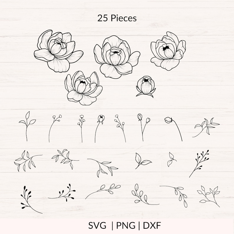 Peonies svg bundle, Peony svg, Peonies Bouquet svg, Floral Arrangement svg, Wedding Flowers svg, Peony Flower, Commercial cutting files image 4