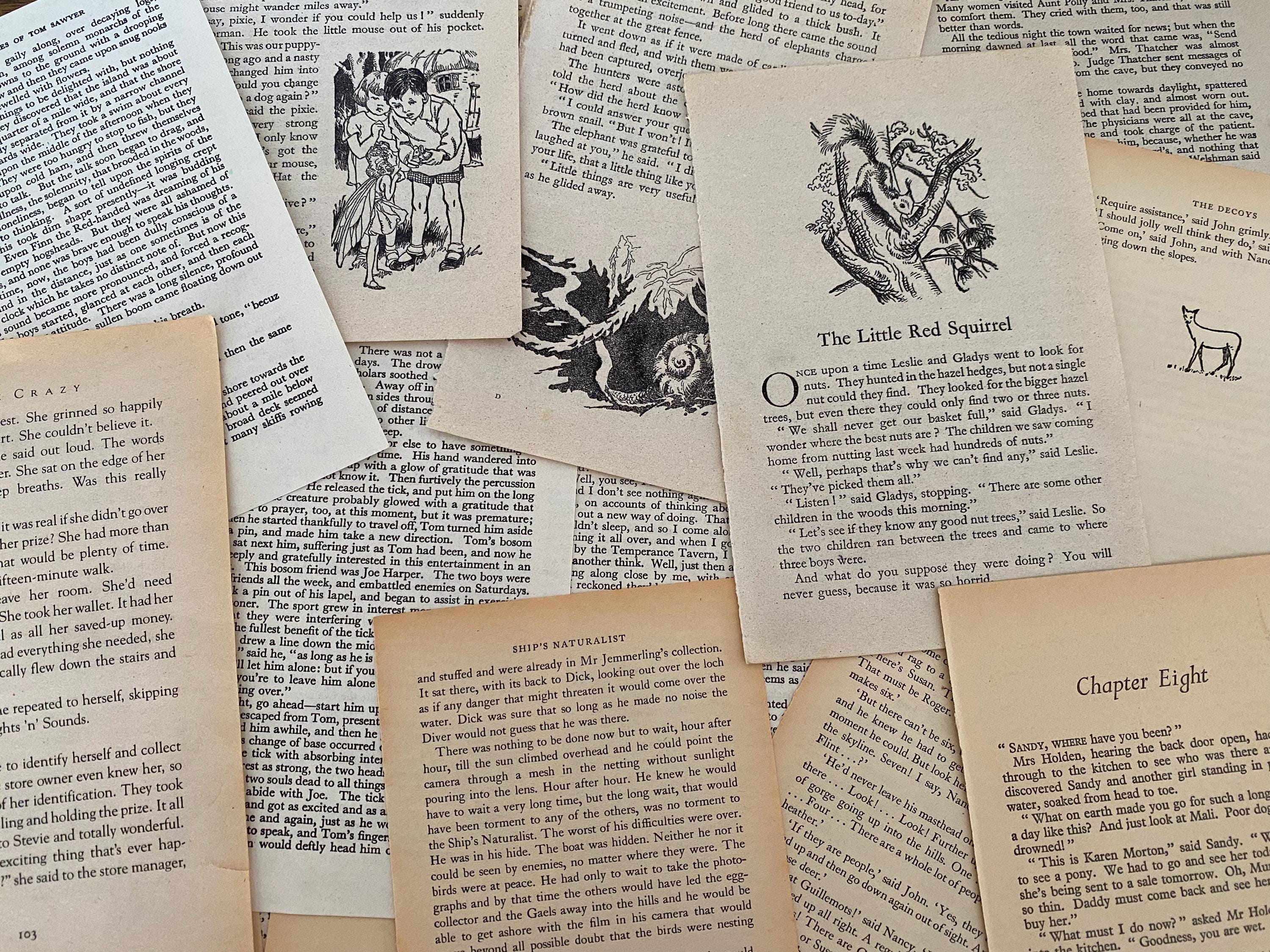 Old Vintage Book Pages - Antique Torn Paper Bundles Pack Assorted ...
