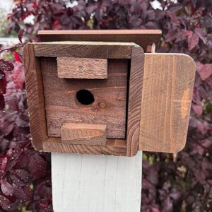 Op de afbeelding: Een houten vogelhuisje met een scharnierende deur en een kleine opening voor vogels om binnen te komen. Het vogelhuisje is lichtgroen geverfd en heeft een bruin dak.