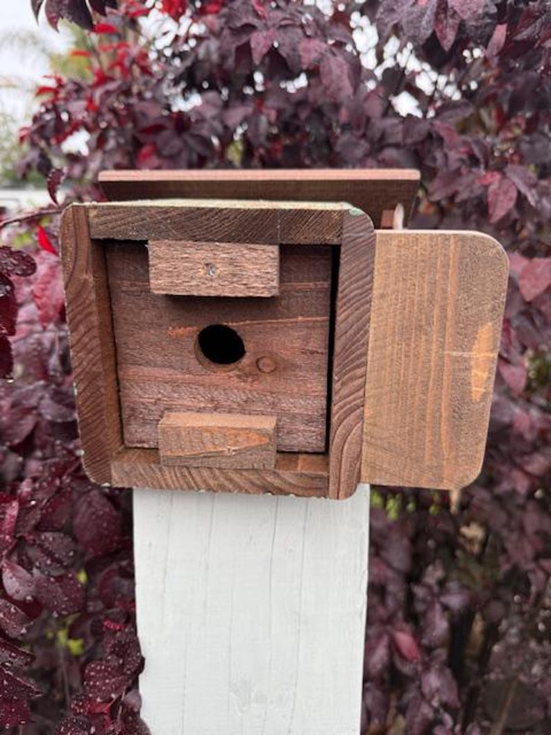 Op de afbeelding: Een houten vogelhuisje met een scharnierende deur en een kleine opening voor vogels om binnen te komen. Het vogelhuisje is lichtgroen geverfd en heeft een bruin dak.