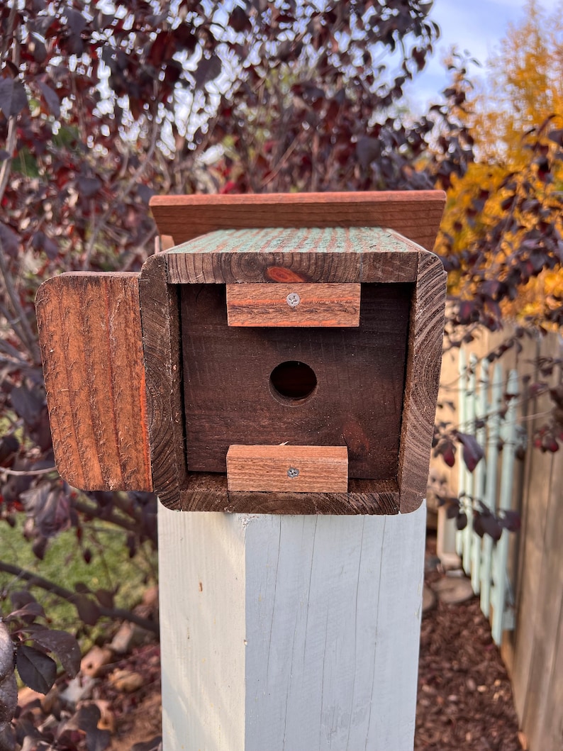 Op de afbeelding: Een houten vogelhuisje met een groen en blauw geschilderd exterieur. Het vogelhuisje heeft een kleine opening voor vogels om binnen te komen en een scharnierende deur aan de zijkant. Het vogelhuisje is gemonteerd op een witte houten paal.
