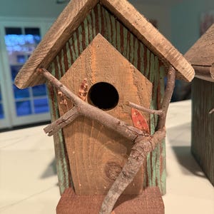 Hand Painted Birdhouse, Rustic Weathered Wood, Backyard Decor afbeelding 7