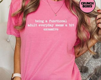 Being A Functional Adult Everyday Seems A Bit Excessive Sweatshirt, Funny Memes Humor Adult Shirt, Sarcastic T-Shirt, Comfort Colors