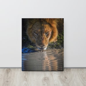 Magnificent King’s Quick Drink (#0059) - Peinture murale pour bureau, cuisine, salle à manger, salon, chambre, décor mural de salle de bain (16&quot;x20 »)