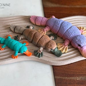 May include: Three articulated platypus figurines in teal, brown, and purple, with orange, green, and yellow accents. The figurines are arranged on a textured, wave-like surface. The top left corner has the text "CLOUD NINE 3D STUDIO".