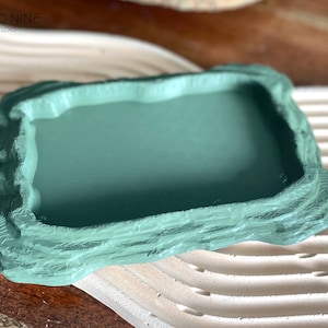 Reptile Tortoise food or water dish, Food Bowl, For bath, Gecko, Snake, Chameleon, Tarantula, Lizard, Frogs, Snails
