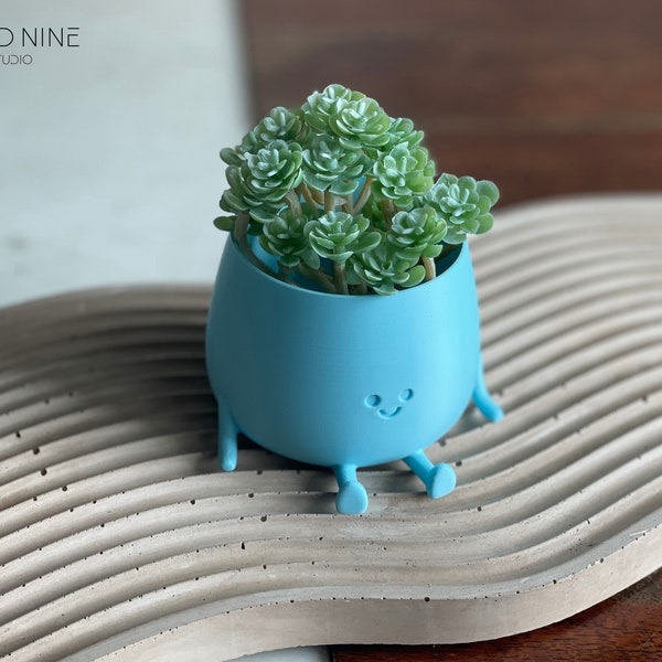Happy Face Planter, Happy Planter, Succulent Plant Pot, Cute Mini Planter