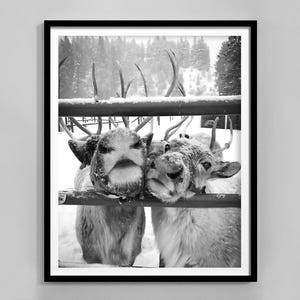 Impresión de reno, blanco y negro, arte de pared de reno navideño, lindo póster de reno, impresión navideña nórdica, descarga digital, decoración de invierno
