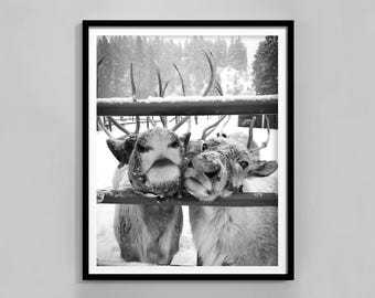 Reindeer Print, Black And White, Christmas Reindeer Wall Art, Cute Reindeer Poster, Nordic Christmas Print, Digital Download, Winter Decor