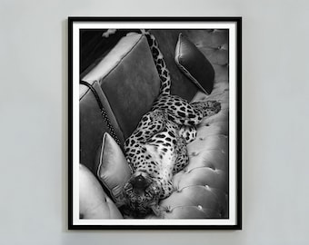 Panther on the Sofa Print, Cheetah Poster, Black and White Wall Art, Vintage Photography, Fashion Print, Trendy Wall Art, Digital Download