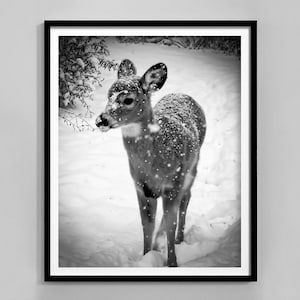 Impresión de reno en la nieve, blanco y negro, póster de reno nórdico, lindo arte de pared de reno, descarga digital, póster de Navidad, decoración de invierno