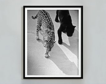 Cheetah and Jaguar Walking Print, Black and White Wall Art, Vintage Photography, Fashion Print, 1950s, Printable Wall Art, Digital Download