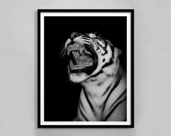 Tiger Diamond Print, Black And White, Vintage Photo, Luxury Wall Art, Museum Quality Poster, Digital Download