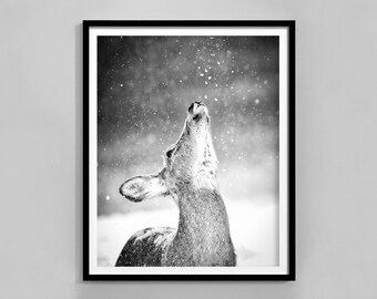 Reindeer Print, Black And White, Reindeer In Snow Photography, Nordic Decor, Digital Download, Winter Wall Art, Fine Art Print, Home Decor