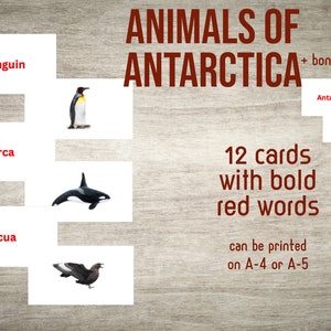 Dieren en kaart van Antarctica-flashkaarten (pdf)