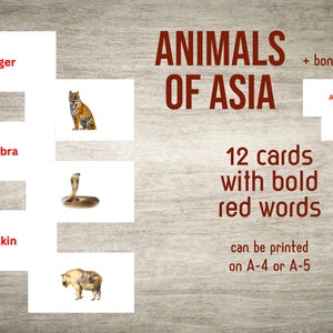 Flash-kaarten dieren en kaart van Azië (pdf)