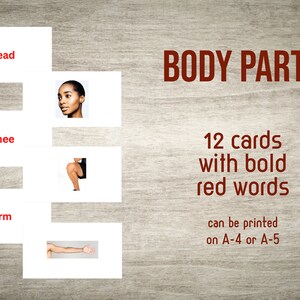 May include: Twelve flashcards with red text and images of body parts. The words are head, knee, and arm. The cards can be printed on A4 or A5 paper.