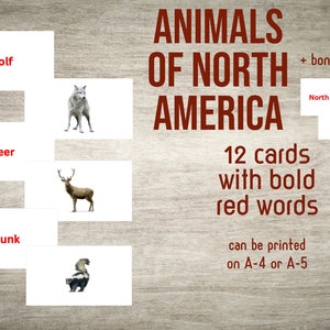 Flash-kaarten dieren en kaart van Noord-Amerika (pdf)