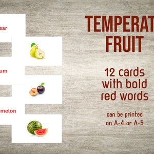Schede didattiche sulla frutta temperata (PDF)