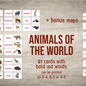 Dieren van de wereld met kaarten-flashkaarten (pdf)