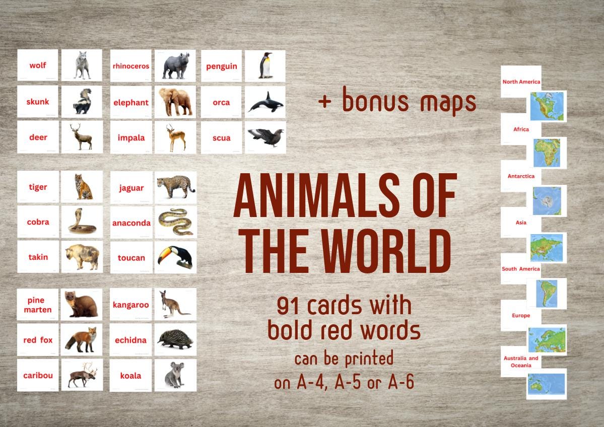 Animal Map Worksheet Animals of the World With Maps Flash Cards(pdf) - Etsy