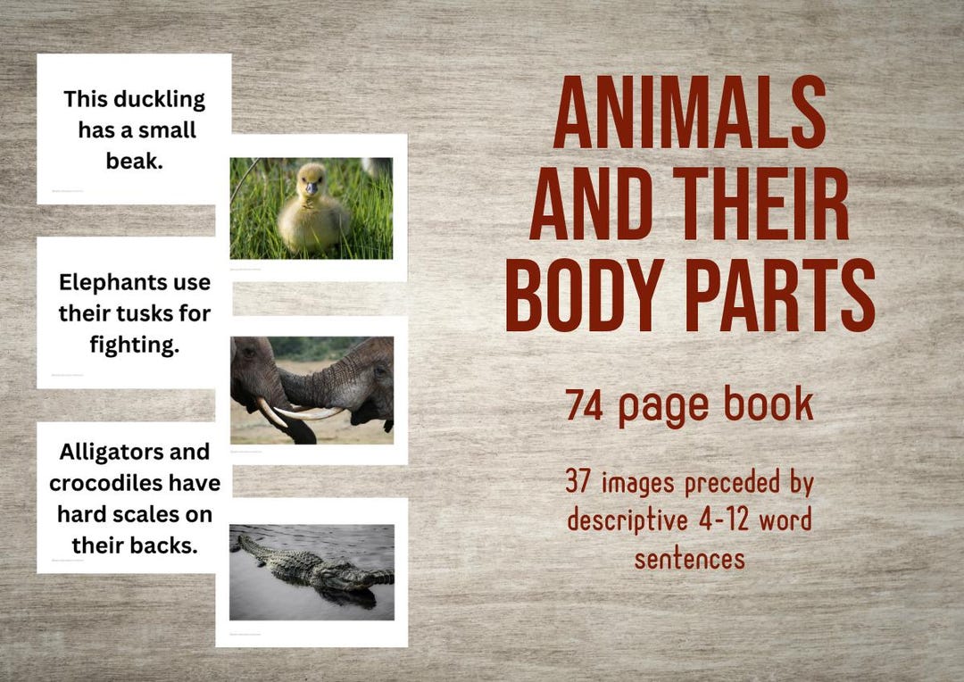 Animals and Their Body Parts(pdf) - Etsy