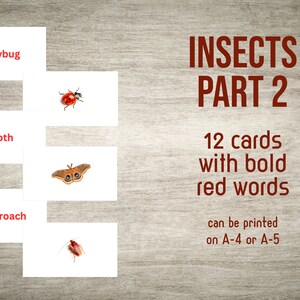 May include: Twelve flashcards featuring insects with bold red text. The insects include a ladybug, moth, and cockroach. The text on the cards reads "INSECTS PART 2", "12 cards with bold red words", and "can be printed on A-4 or A-5".