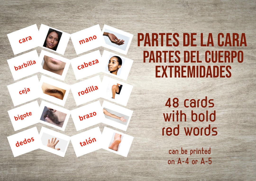 48 Spanish Body and Face Parts Flashcards Collection(pdf) - Etsy