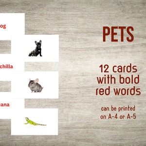 Puede incluir: Doce tarjetas imprimibles con imágenes de mascotas, incluyendo un perro, un chinchilla y una iguana. Cada tarjeta tiene una palabra roja impresa en ella, como "perro", "chinchilla" e "iguana".