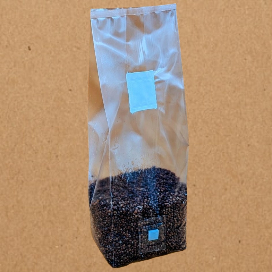 Bulk Sterilized Grain Spawn Bags. 3 Lbs Each With Injection Port. Milo