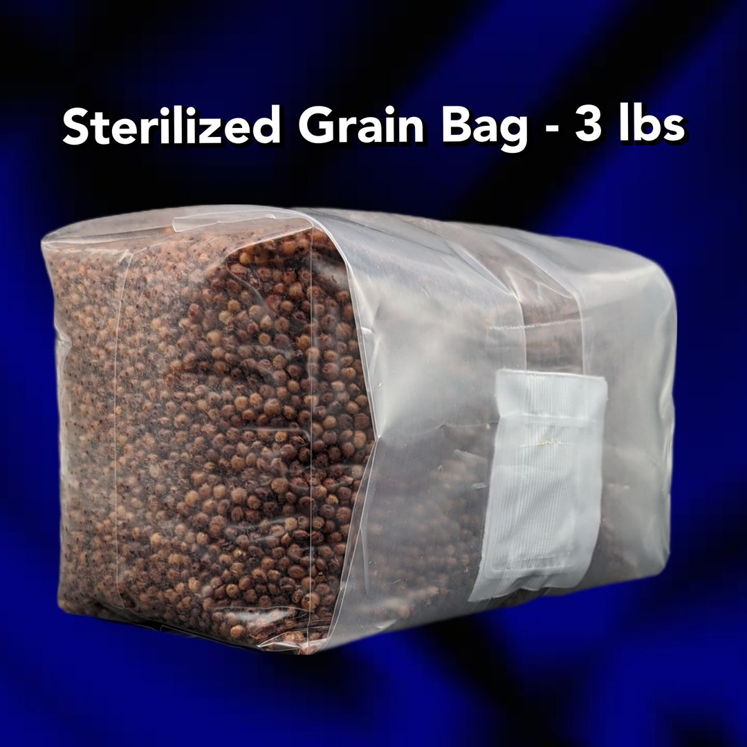 One 3 Lbs Bag of Sterilized Grain, With Injection Port for Mushroom Spawn. Fast Colonizing Milo