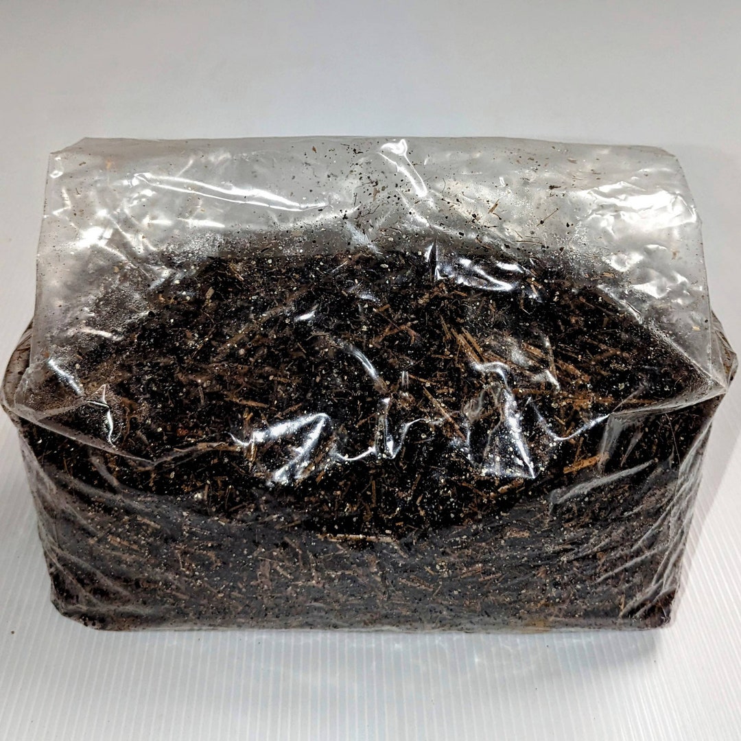 Dung Loving Mushroom Bulk Substrate 5 Lbs Etsy dung-loving-mushroom-bulk-substrate-5-lbs-etsy