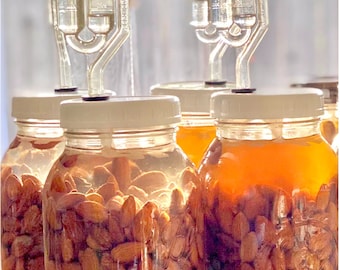 Almendras orgánicas fermentadas: refrigerio probiótico para la salud intestinal (225 g)