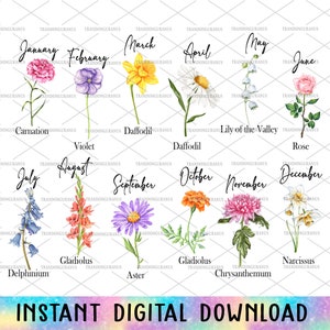 May include: A watercolor illustration of flowers representing each month of the year. January is a carnation, February is a violet, March is a daffodil, April is a daisy, May is a lily of the valley, June is a rose, July is a delphinium, August is a gladiolus, September is an aster, October is a marigold, November is a chrysanthemum, and December is a narcissus.