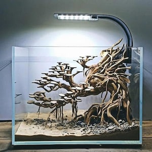 Bonsai Aquarium driftwood,Aquascape aquarium,Aquarium decoration, House for Fish and Shrimp,Fish Tank decor, Shrimp Tank Decor