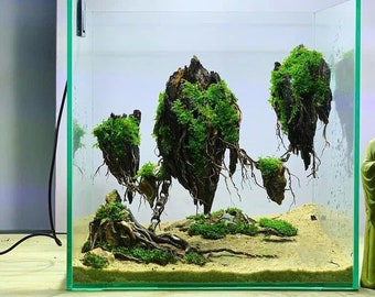Aquarium Decor, Flying island,Avatar style,Aquarium decoration, House for Fish and Shrimp,Fish Tank decor, Shrimp Tank Decor