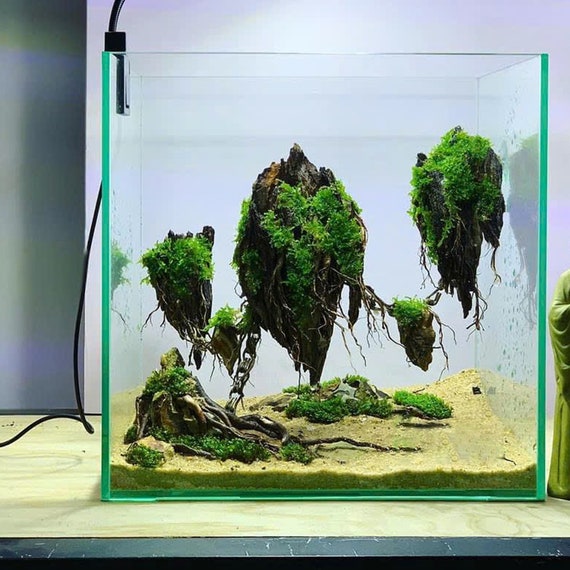Aquarium-Dekoration Haifischkopf – 2-teilig Aus Kunstharz, Höhle Für Fische & Garnelen, 4x4x5 Cm
