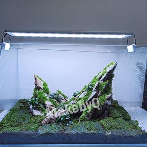 Curated visual reference: Picture Idea: Driftwood Aquascape Forest Root Fish Shrimp Tank Decor