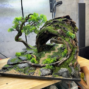 Natural Aquarium Style with artificial plants ,Custom Size,Aquarium decoration, House for Fish and Shrimp,Fish Tank decor, Shrimp Tank Decor
