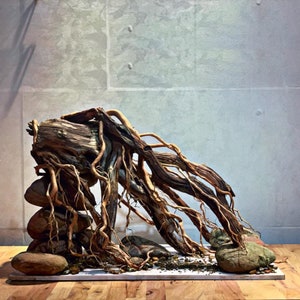 Natural Aquarium Decor,Biotop Aquarium Style, House for Fish and Shrimp,Fish Tank decor, Shrimp Tank Decor