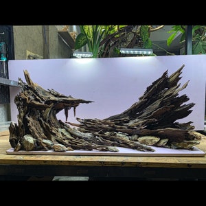 Dragon Cave, Aquarium Decor,Aquascaping Decor, House for Fish and Shrimp,Fish Tank decor, Shrimp Tank Decor