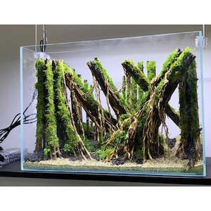 Custom Aquarium Decorations | Personalized Fish Tank Accessories