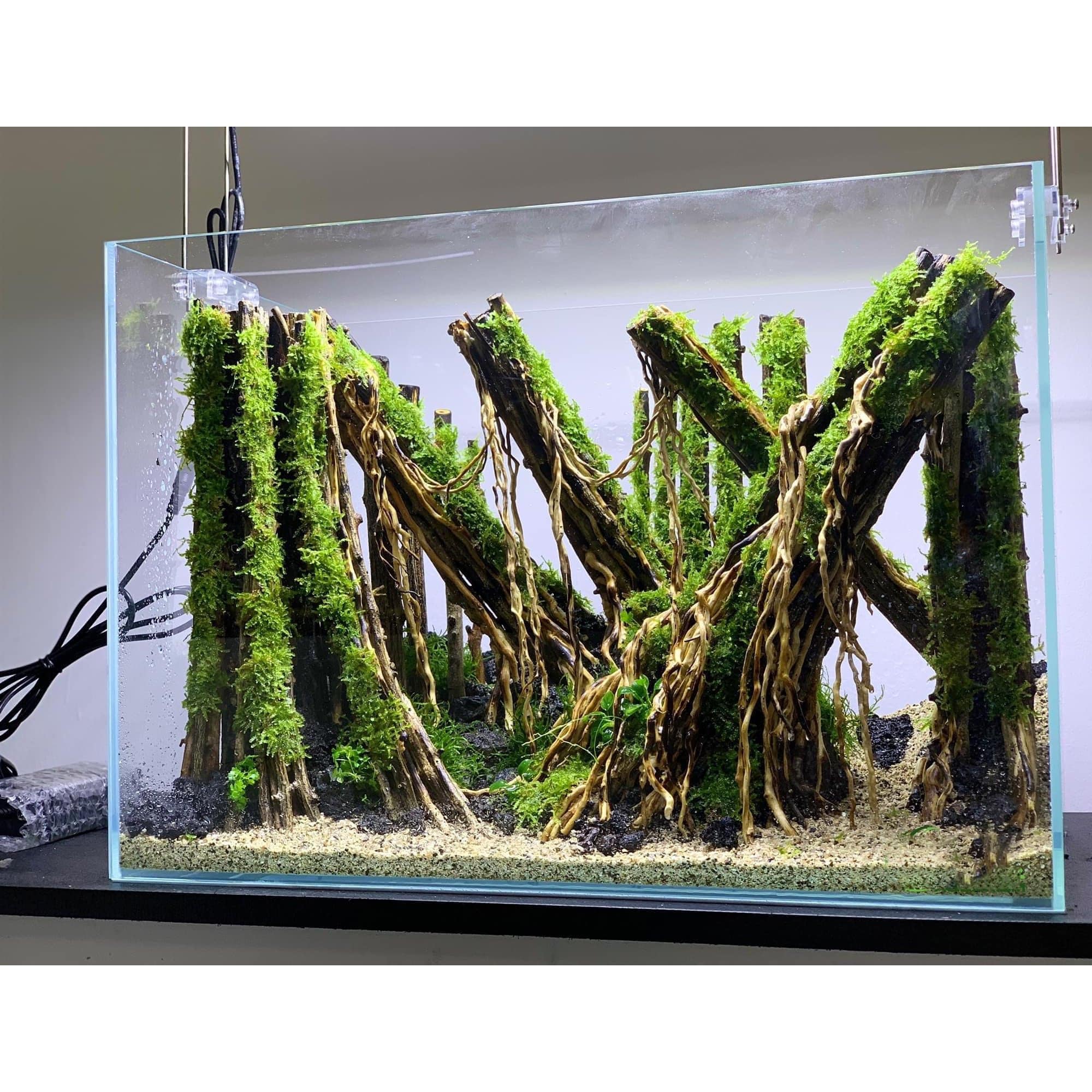 custom fish tank accessories Aquarium Decoration Fish Aquarium Products Custom Aquarium Decorations  Personalized Fish Tank Accessories