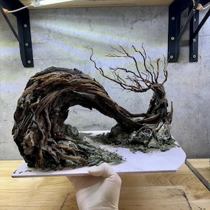Natural Aquarium Style,Custom Size,Aquarium decoration, House for Fish and Shrimp,Fish Tank decor, Shrimp Tank Decor
