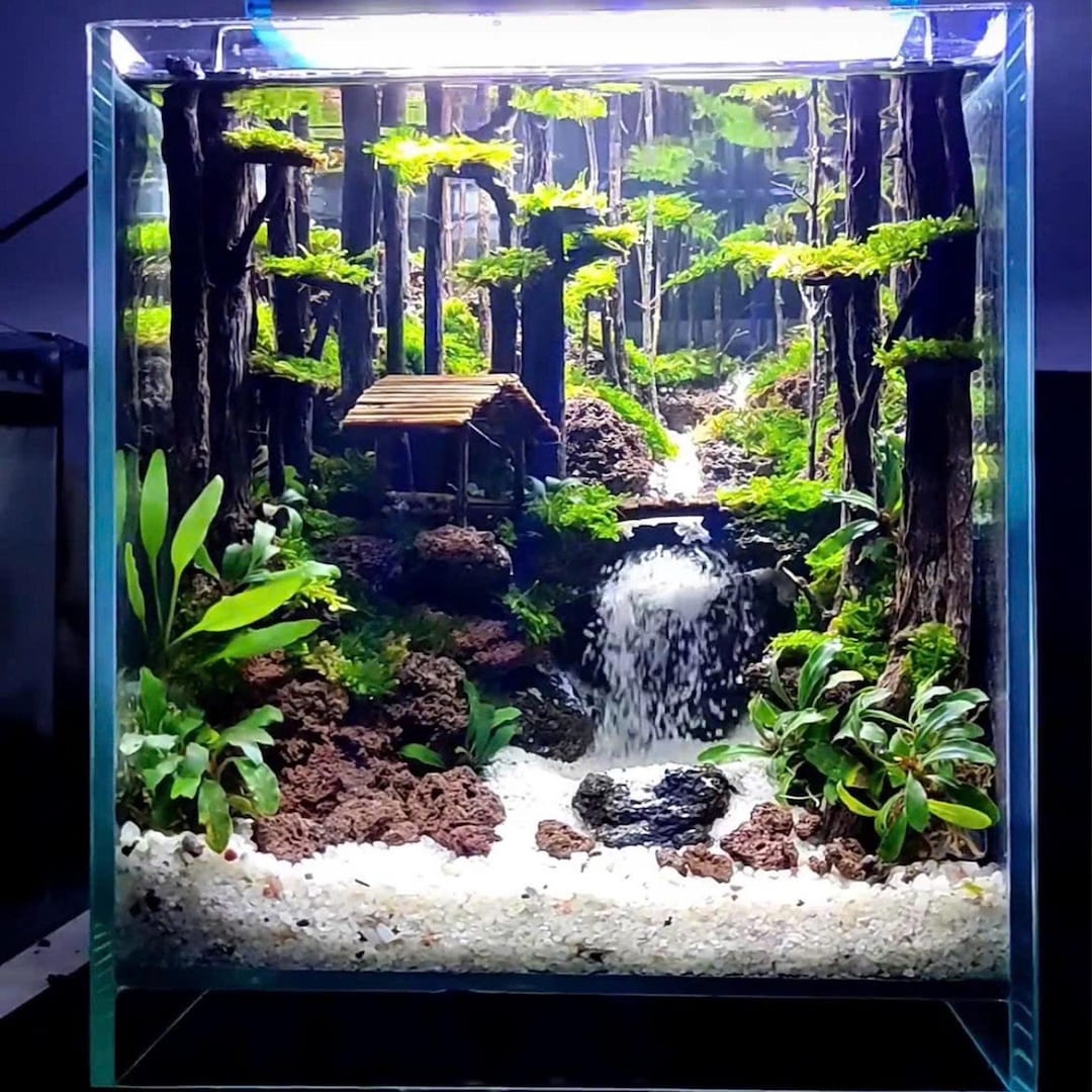 Aquascape Forest Sand Stream: Natural Aquarium Wood Decor